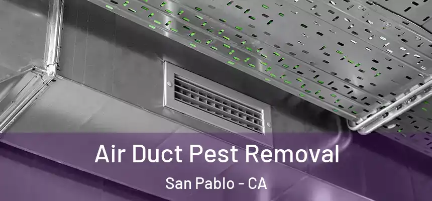 Air Duct Pest Removal San Pablo - CA