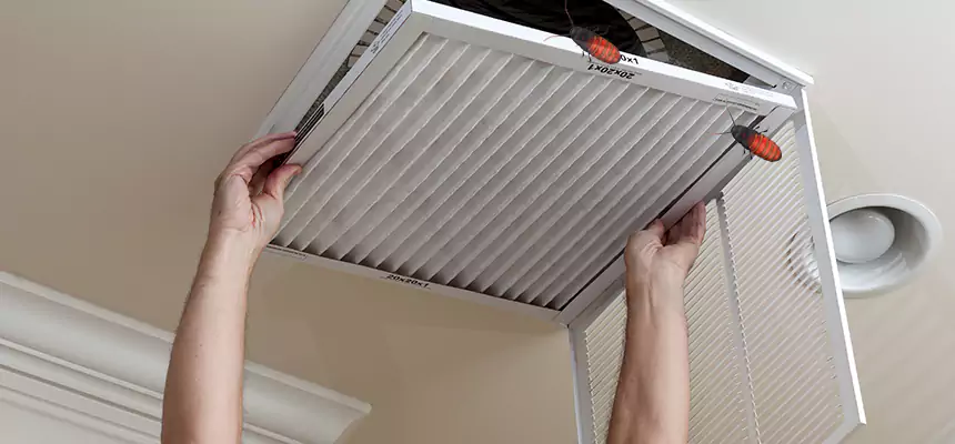 Preventive Cockroach-Proofing for Ducts in San Pablo