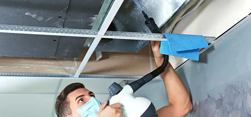 Our Air Duct Rodent Removal Services in San Pablo, CA