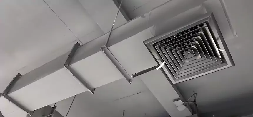 Our Pest Removal From Ducts Services in San Pablo, CA