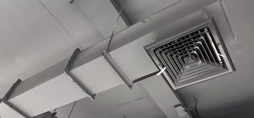 Our Rodent Droppings In Vents Services in San Pablo, CA