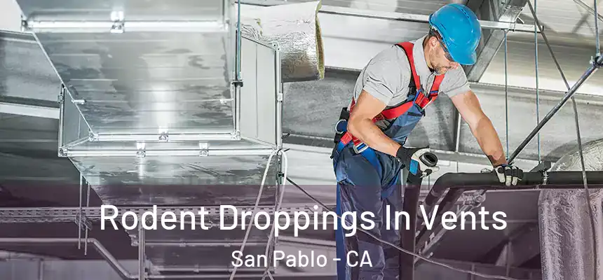  Rodent Droppings In Vents San Pablo - CA