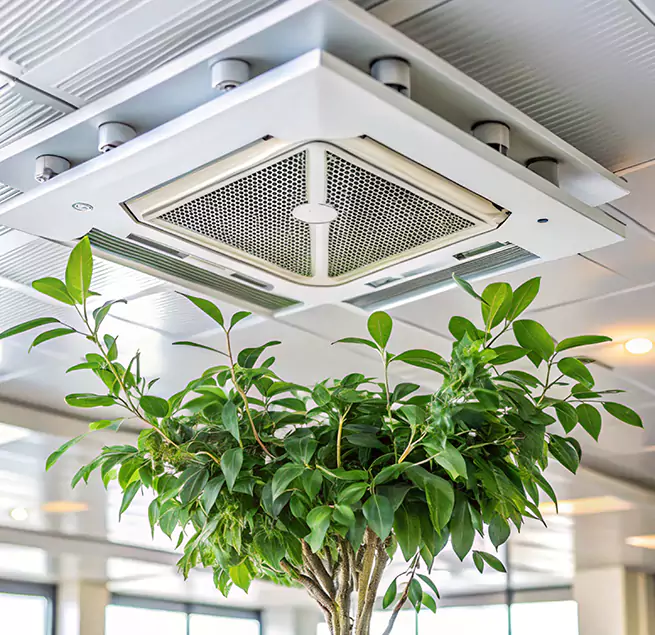 Why Homeowners & Businesses Trust Us in San Pablo, CA?